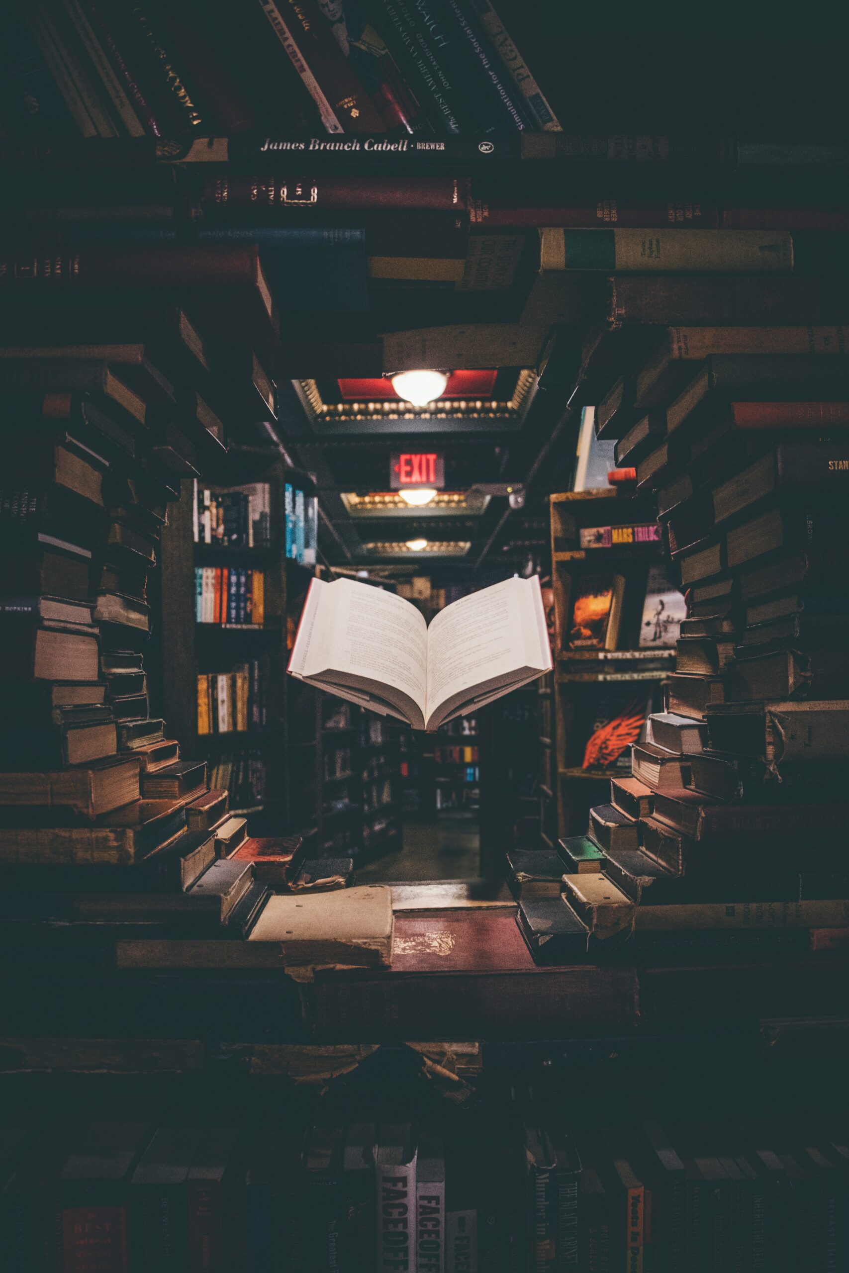 jaredd craig hh4wbgnyltc unsplash